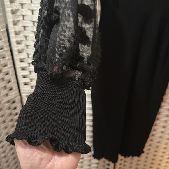 Almost Fabulous Elegant Black Dress w/Bishop Sheer Sleeves & Embroidered Flowers - Picture 5 of 8